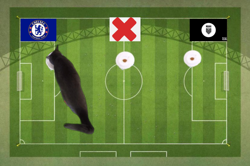 Mèo tiên tri dự đoán kết quả trận Chelsea vs Noah