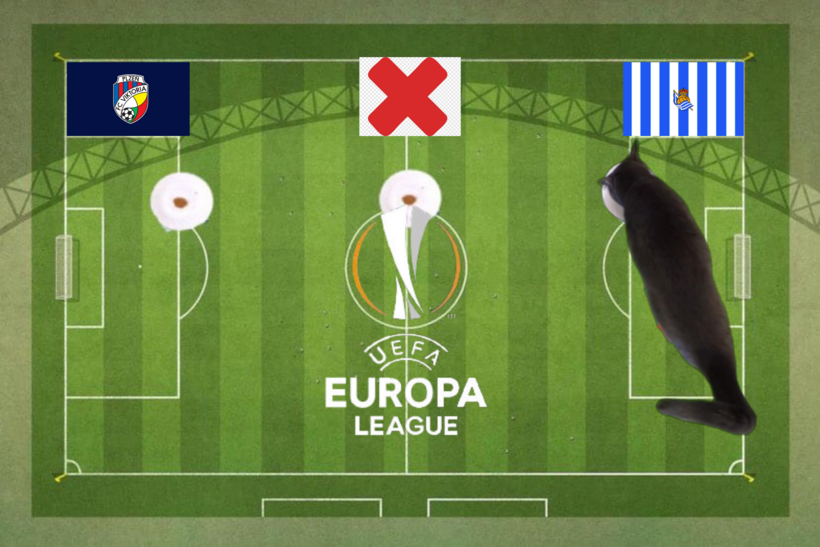 Dự đoán của chú mèo tiên tri trước trận Viktoria Plzen vs Sociedad