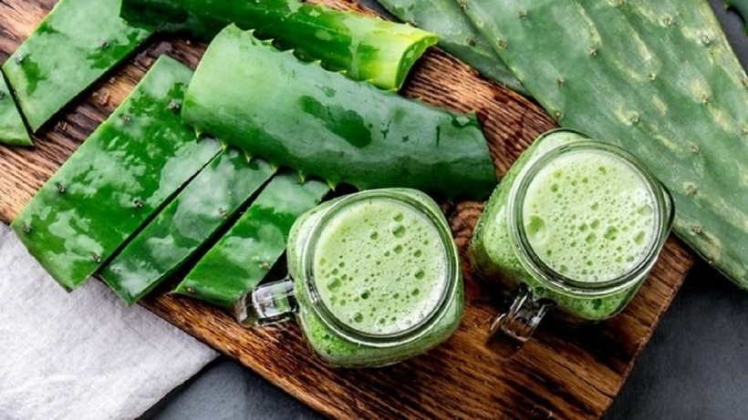 Nước ép xương rồng có thể giúp kiểm soát lượng đường trong máu.