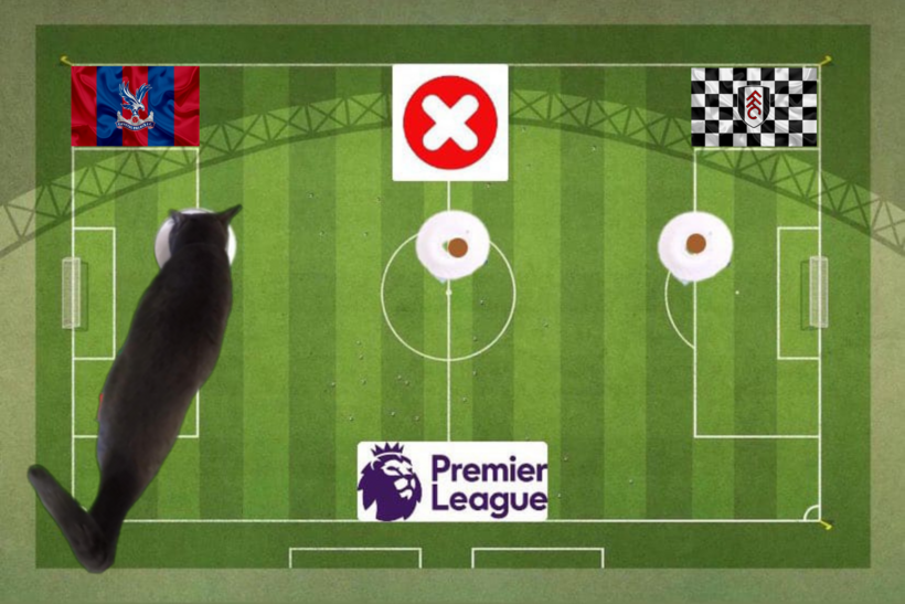 Dự đoán của chú mèo tiên tri trước trận Crystal Palace vs Fulham