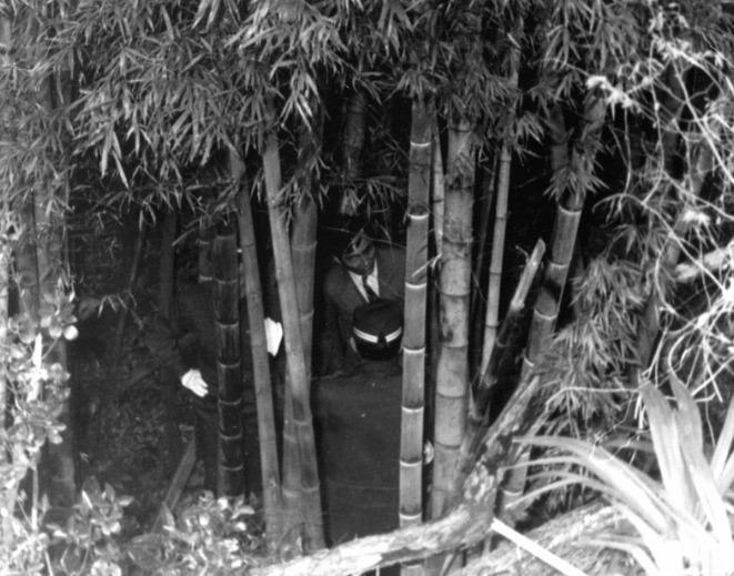 Khu rừng nơi tìm thấy kho báu. Ảnh: VietNamNet