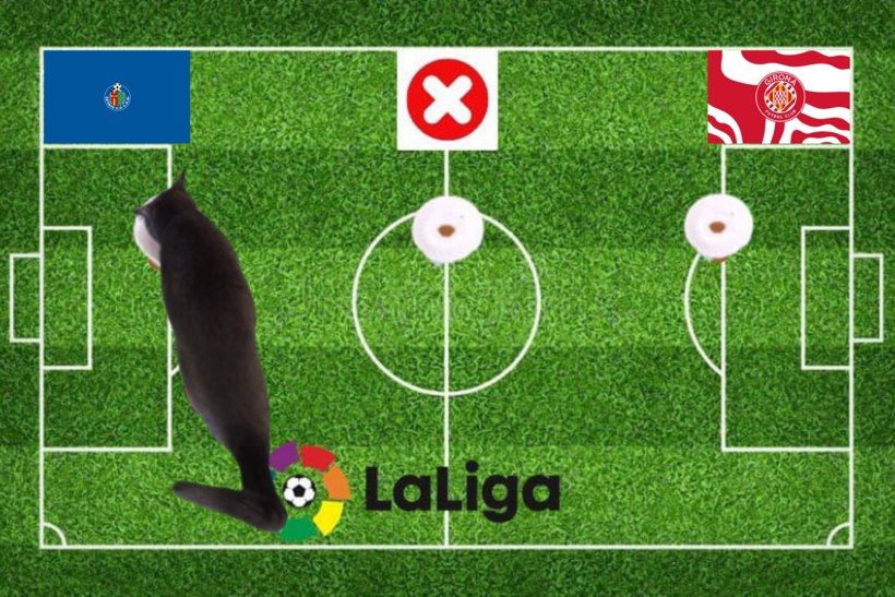 Dự đoán của chú mèo tiên tri trước trận Getafe vs Girona