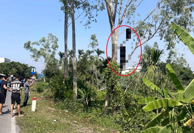 Khu vực ngươi dân phát hiện anh P.V.Q treo cổ trên cây bạch đàn. (Ảnh: SK&ĐS)