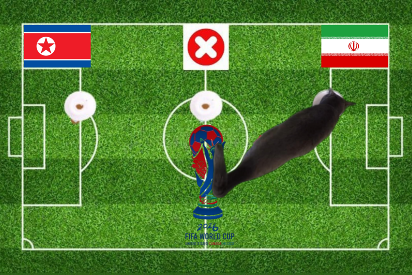 Mèo tiên tri dự đoán trận Triều Tiên vs Iran.