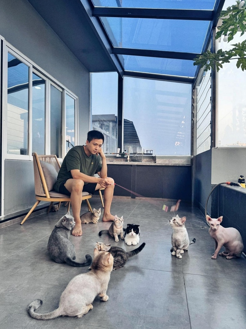 Ngô Kiến Huy hiện đang nuôi tới 8 chú mèo cảnh.