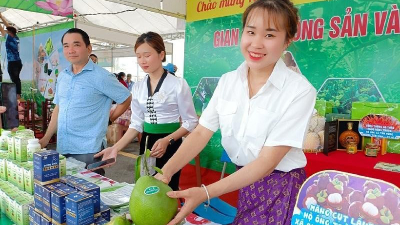 36 tỉnh thành trưng bày sản phẩm nông sản tại Hội chợ triển lãm Nông nghiệp Quốc tế lần thứ 24 - AgroViet 2024. Ảnh: Doanh nghiệp kinh tế xanh