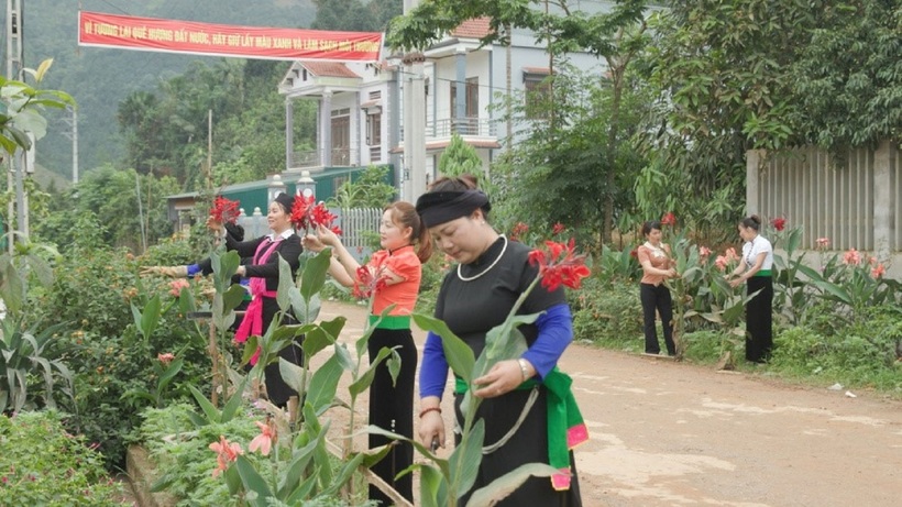 Hình ảnh trồng hoa 2 bên đường, Xây dựng NTM ở huyện Văn Yên