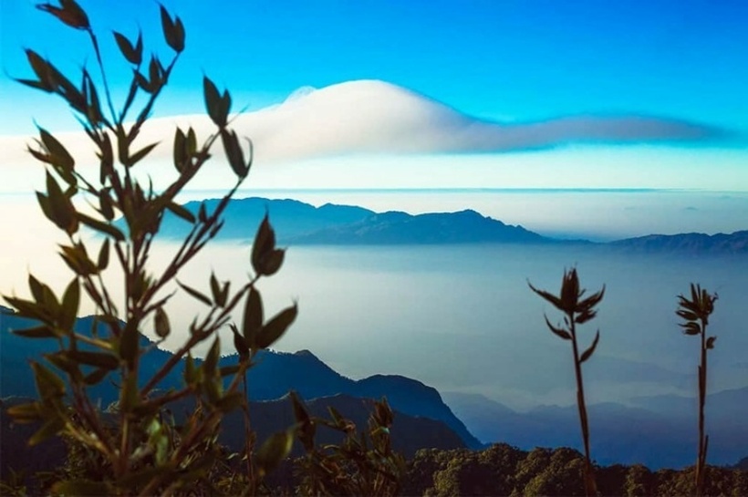 Pu Ta Leng là nơi sinh sống của nhiều loại động thực vật phong phú, phát triển tự nhiên mà ít chịu tác động từ con người.