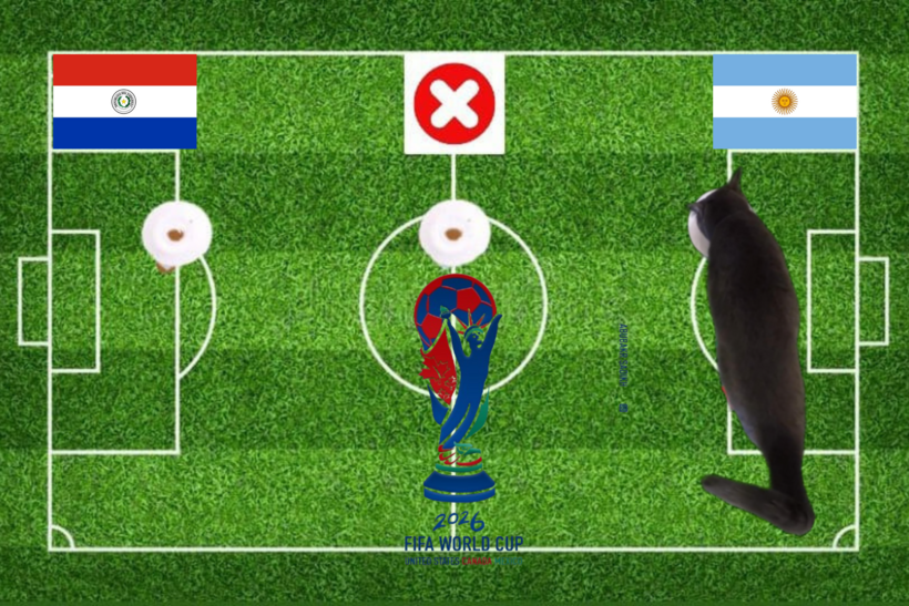 Dự đoán của chú mèo tiên tri trước trận Paraguay vs Argentina