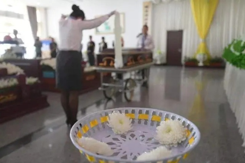 Mức lương của ngành này rất cao.
