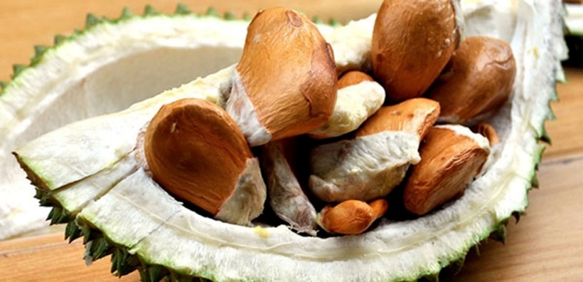 Hạt sầu riêng là một nguồn giàu tinh bột, cung cấp năng lượng ổn định và giúp kiềm chế cơn thèm ăn. Ảnh minh họa