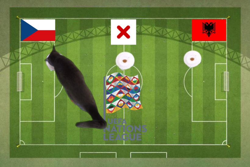 Dự đoán của chú mèo tiên tri trước trận Albania vs CH Séc