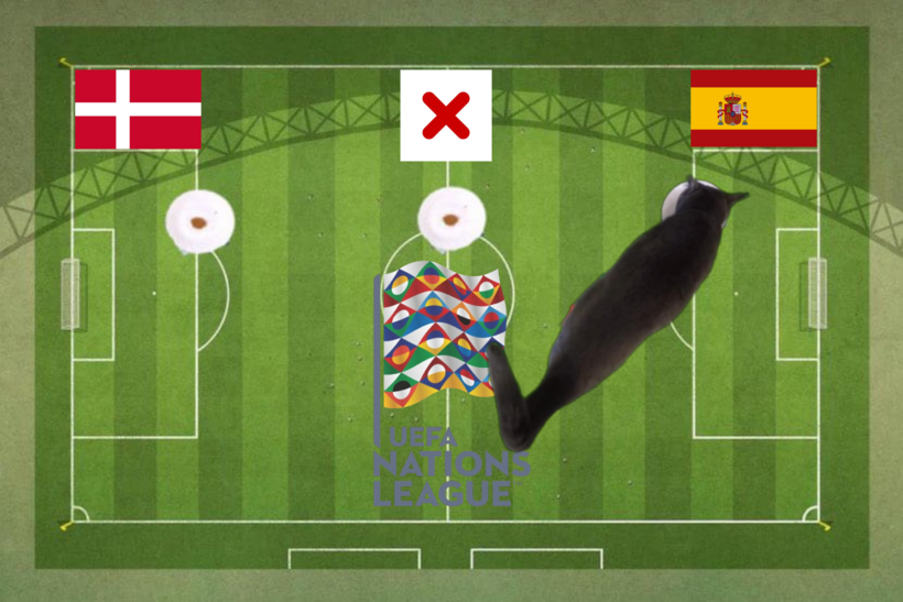 Dự đoán của chú mèo tiên tri trước trận Đan Mạch vs Tây Ban Nha