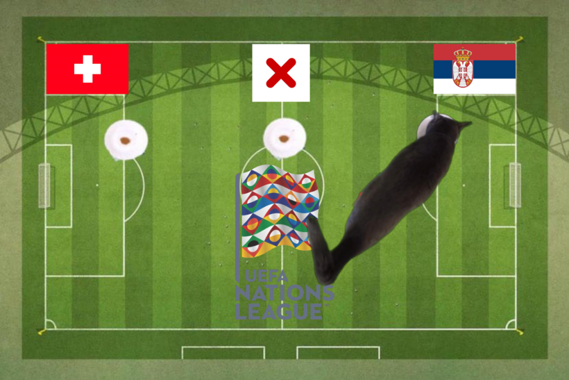 Dự đoán của chú mèo tiên tri trước trận Thụy Sĩ vs Serbia