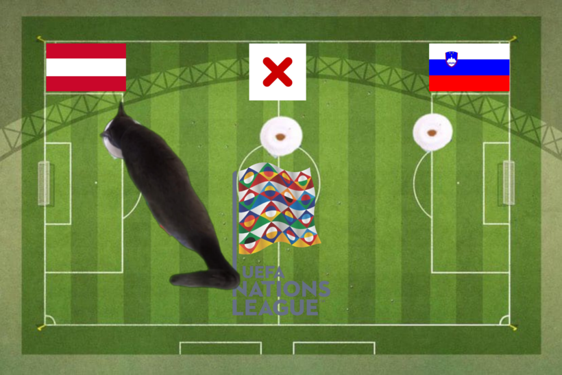 Dự đoán của chú mèo tiên tri trước trận Áo vs Slovenia