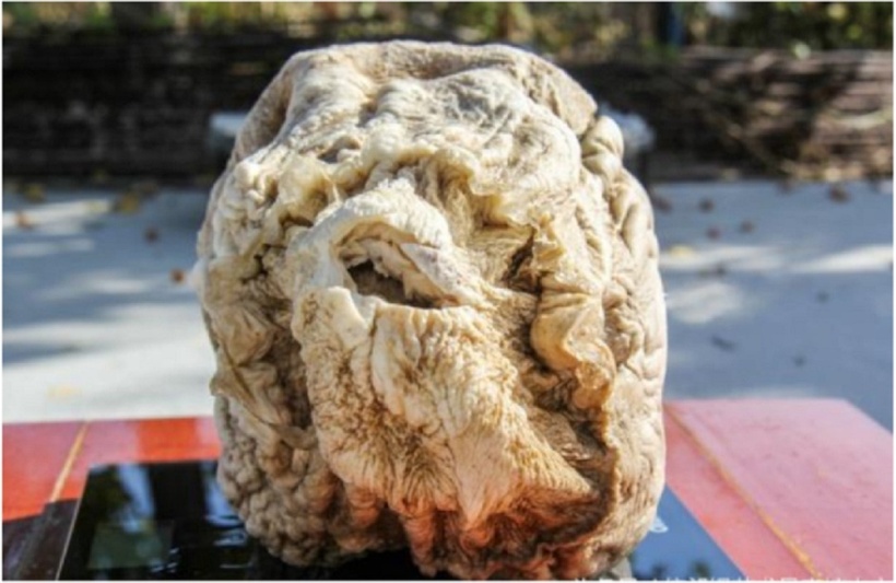 Kho báu được anh nông dân may mắn tìm thấy. Ảnh: Sohu