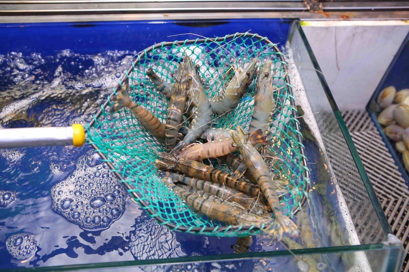 Khi chạm tay vào, vỏ tôm tươi sẽ cảm giác mát lạnh.