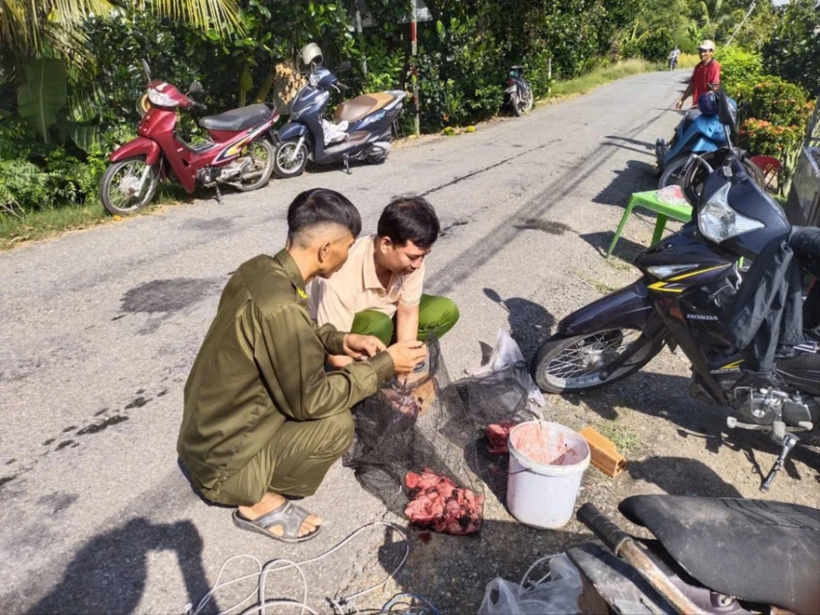 Lực lượng chức năng dùng mồi nhử cá sấu xuất hiện. Ảnh: Pháp luật TP.HCM