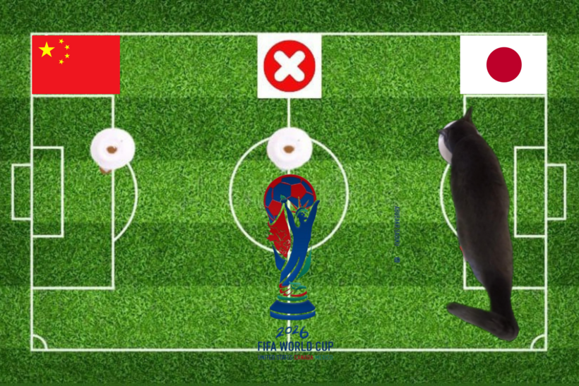 Dự đoán của chú mèo tiên tri trước trận Trung Quốc vs Nhật Bản