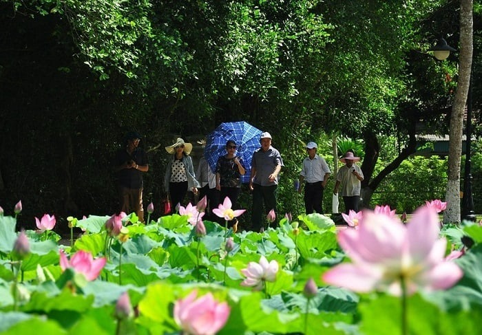 Du khách có thể đến tham quan khu di tích Kim Liên vào bất kỳ thời điểm nào trong năm
