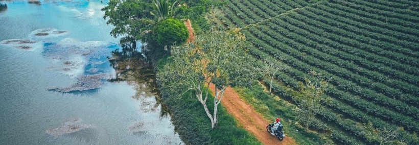 Đồi chè ở đây rất rộng và trải dài đến vô tận nên khi đến đây, du khách sẽ có cảm giác như bước chân nơi tuyệt diệu nhất của những tán lá xanh.