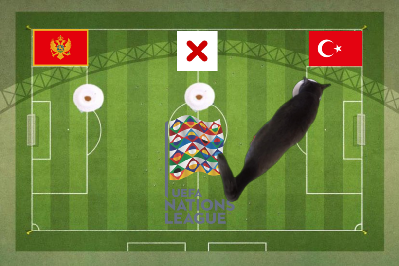 Dự đoán của chú mèo tiên tri trước trận  Montenegro vs Thổ Nhĩ Kỳ