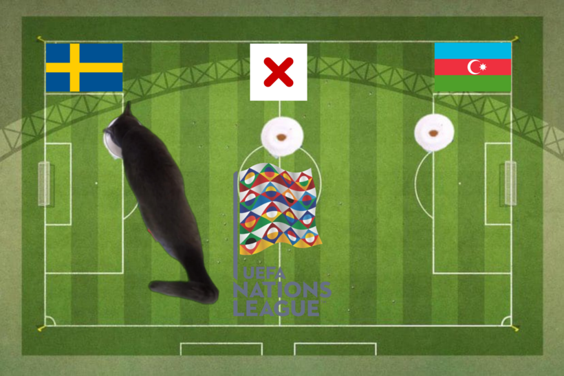 Mèo tiên tri dự đoán kết quả trước trận Thụy Điển vs Azerbaijan