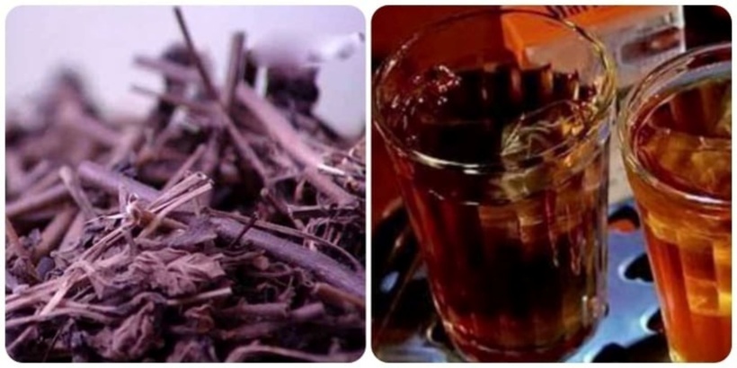 Nhân trần có tác dụng thanh nhiệt, giải độc, làm mát gan, rất hiệu quả trong việc điều trị các chứng bệnh do nóng. Ảnh minh họa