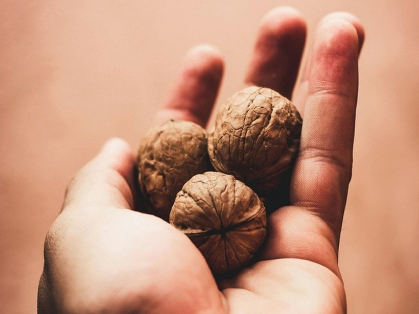 Mỗi ngày chỉ nên ăn khoảng 30-50 gram quả óc chó.