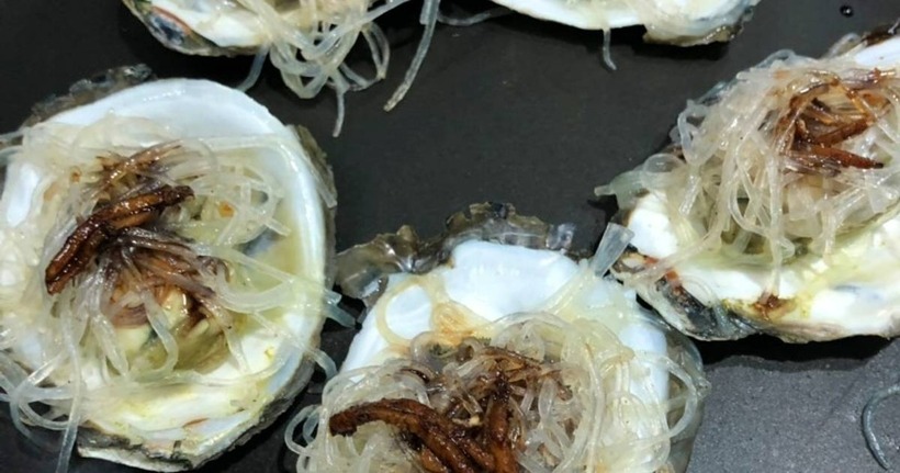 Hàu hấp bún tỏi là cách làm hàu đặc biệt thơm ngon, có tác dụng khử mùi tanh của hàu, cải thiện dinh dưỡng cho hàu. Ảnh minh họa