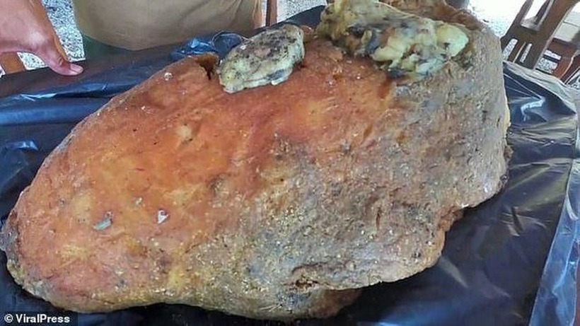 Vật thể được cho là long diên hương.