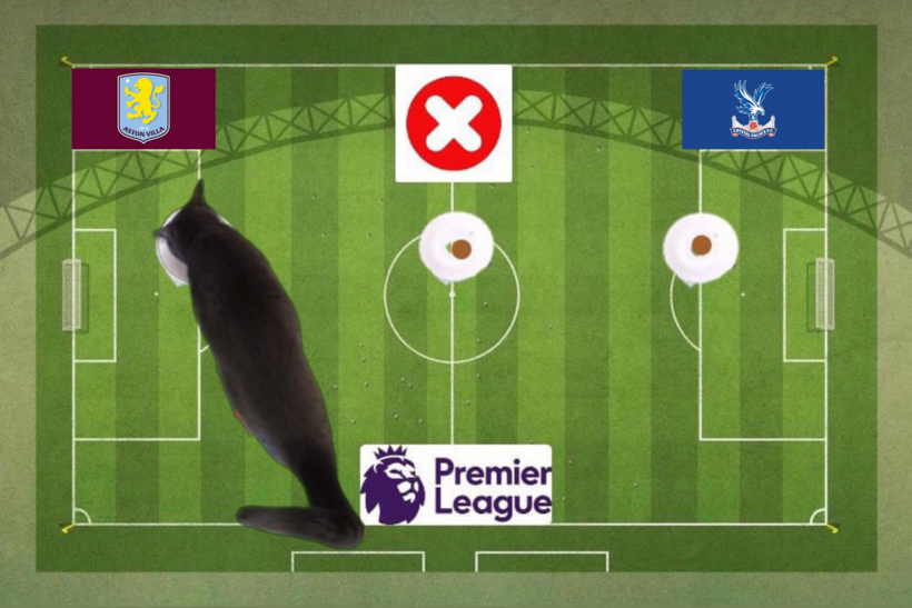 Dự đoán của chú mèo tiên tri trước trận Aston Villa vs Crystal Palace