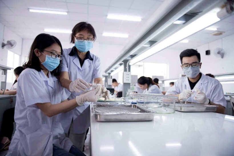 Bộ GD&ĐT vừa công bố dự thảo quy chế tuyển sinh đại học năm 2025. Ảnh minh họa: VTC News