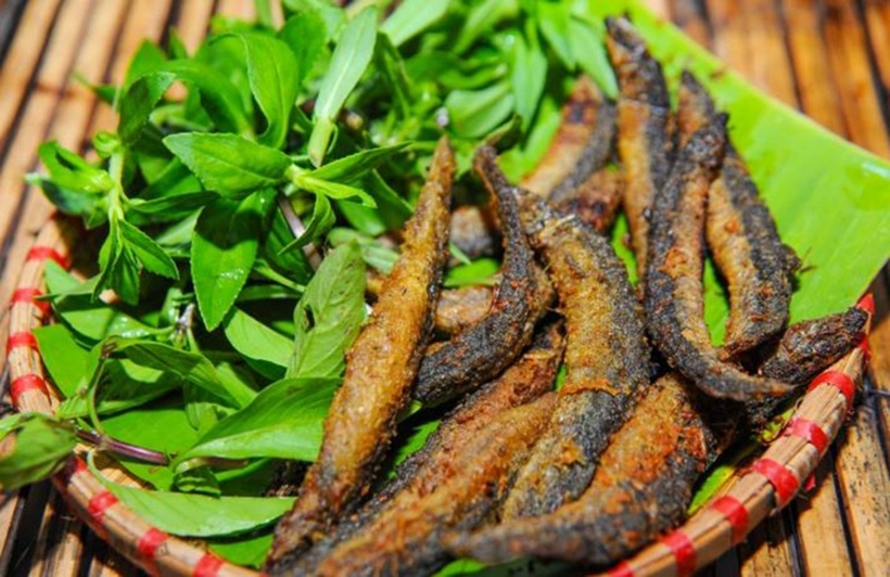 Cá chạch được dùng để chữa các bệnh liệt dương, suy giảm tình dục, viêm gan vàng da, mụn nhọt, lở loét, cơ thể suy nhược, mắc bệnh gan, thận mạn tính. Ảnh minh họa