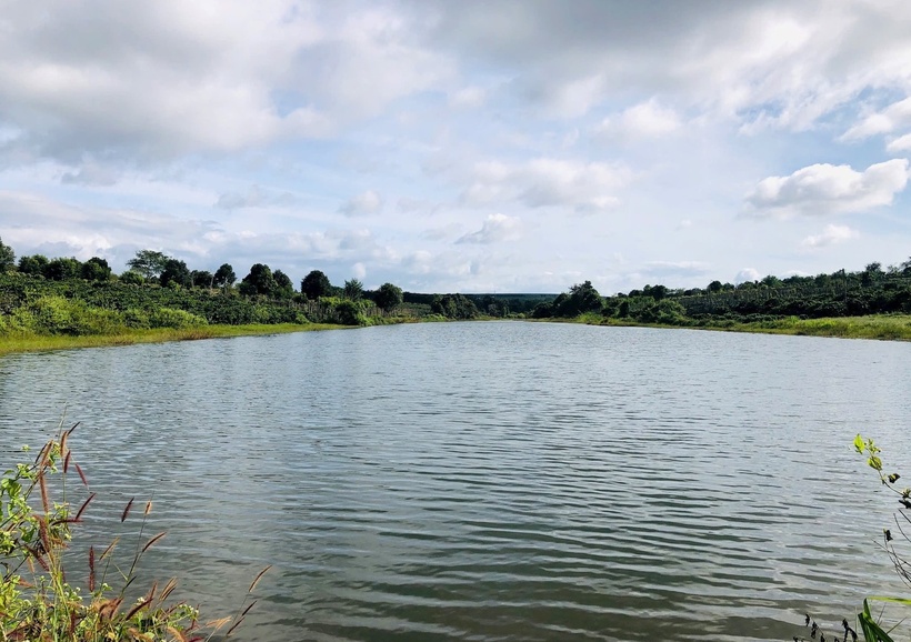 Hồ Ba Bông nơi em T. bị đuối nước thương tâm. (Ảnh: Công lý)