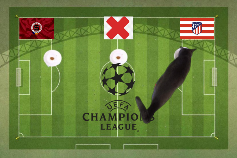 Dự đoán của chú mèo tiên tri về kết quả trận Sparta Prague vs Atletico