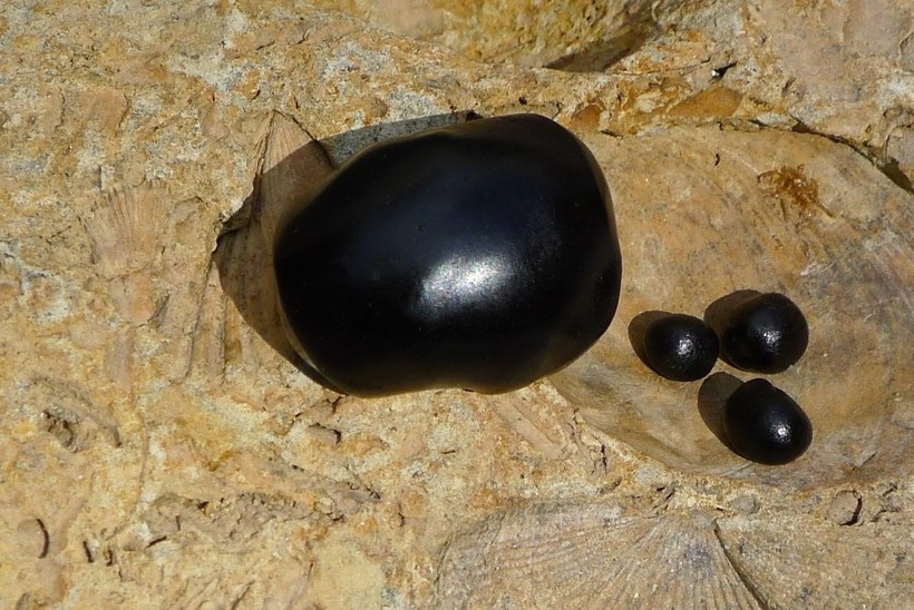 Shilajit là một chất nhựa dày đặc được sử dụng làm các bài thuốc y học cổ truyền của Ấn Độ, giúp điều trị rối loạn cương dương. Ảnh minh họa