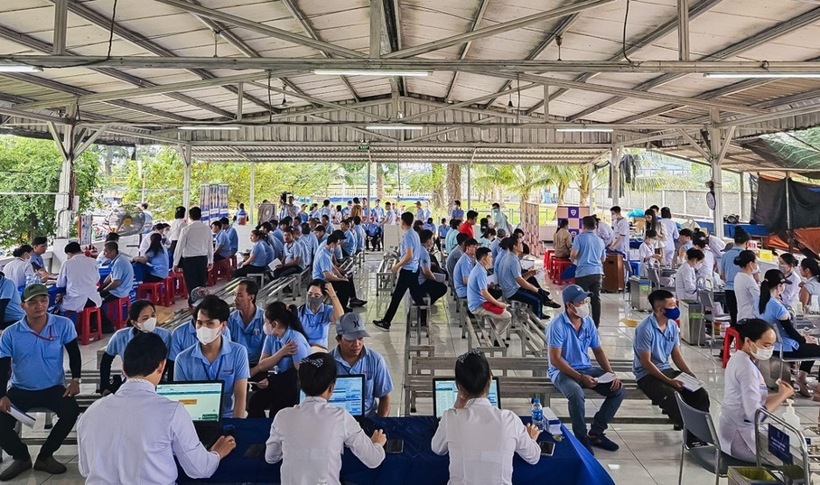 Nhiều doanh nghiệp lo ngại dịch sốt xuất huyết