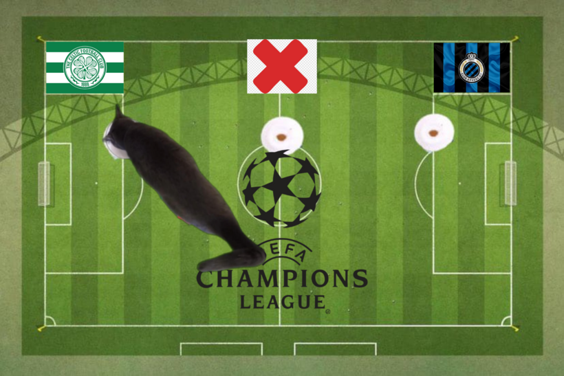 Mèo tiên tri dự đoán kết quả trận Celtic vs Club Brugge