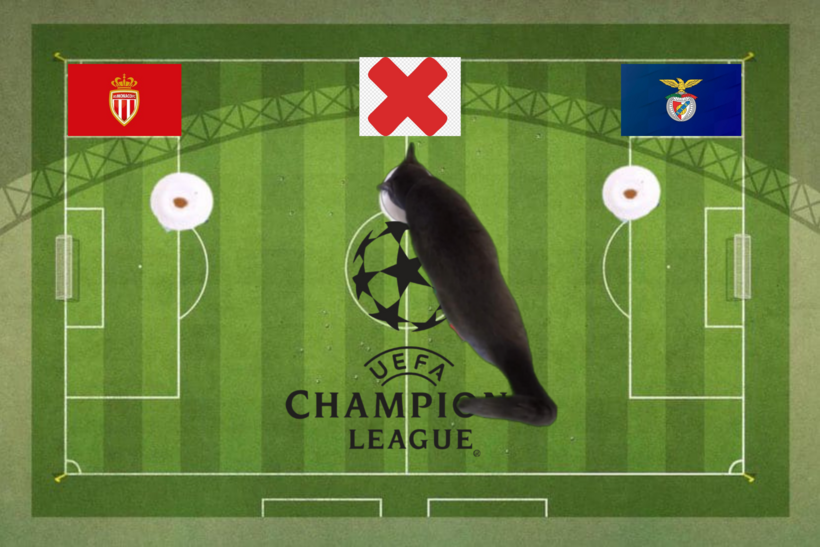 Mèo tiên tri dự đoán kết quả trận Monaco vs Benfica