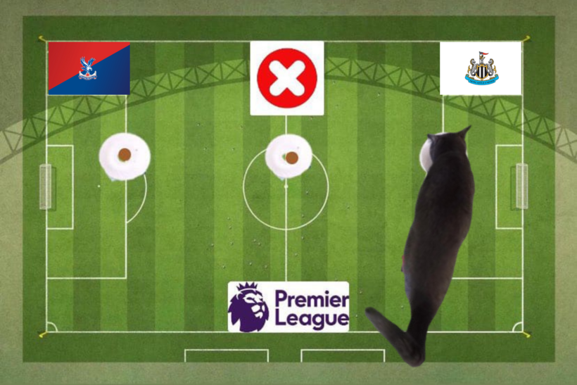 Dự đoán của chú mèo tiên tri trước trận Crystal Palace vs Newcastle