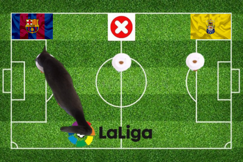 Mèo tiên tri dự đoán trước trận Barca vs Las Palmas