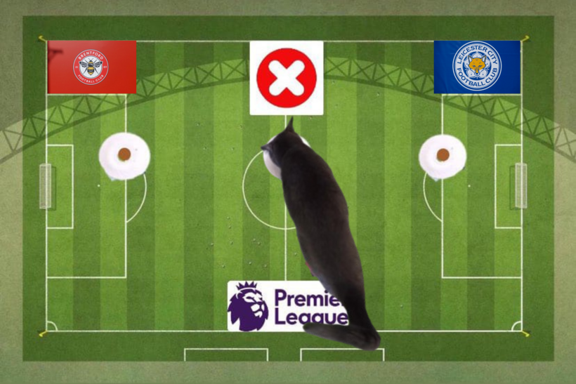 Dự đoán của chú mèo tiên tri trước trận Brentford vs Leicester