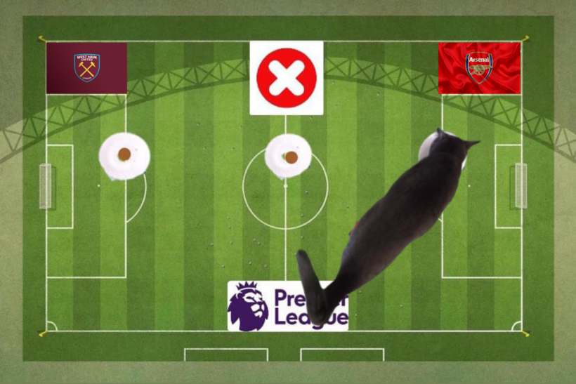Mèo tiên tri dự đoán kết quả trận West Ham vs Arsenal