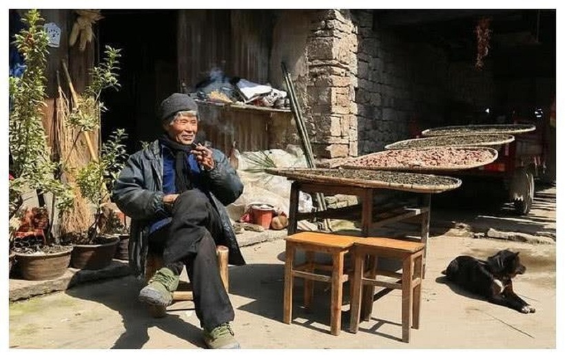 Chủ nhân bức tranh. Ảnh: Sohu