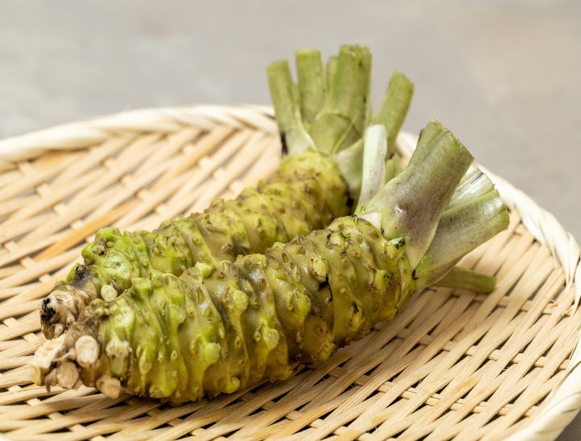 Không chỉ giúp các món ngon hấp dẫn hơn, mù tạt còn giàu chất dinh dưỡng, tốt cho sức khỏe.