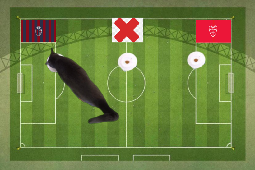 Dự đoán của chú mèo tiên tri trước trận Bologna vs Monza