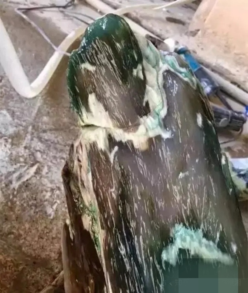 Hiện gỗ hóa ngọc là một hiện tượng kì lạ của thiên nhiên. Quá trình này diễn ra trong suốt hàng triệu năm dưới lòng đất và để tạo ra một thân gỗ hóa ngọc là rất hiếm, có thể coi là quý như vàng. Ảnh minh họa