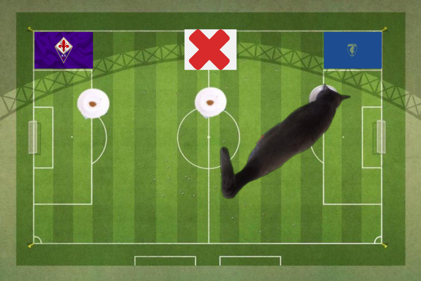 Dự đoán của chú mèo tiên tri trước trận Fiorentina vs Empoli