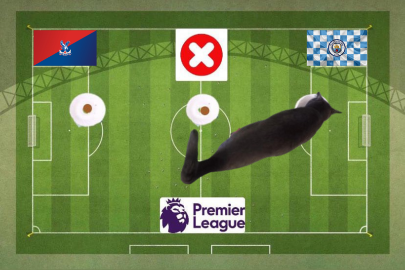 Mèo tiên tri dự đoán kết quả trận Crystal Palace vs Man City